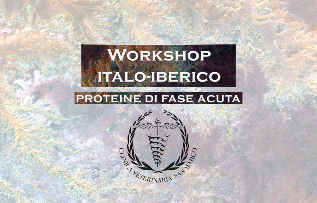 Italo-Iberian Workshop