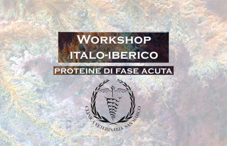 Workshop Italo Iberico
